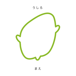 斜頭症
